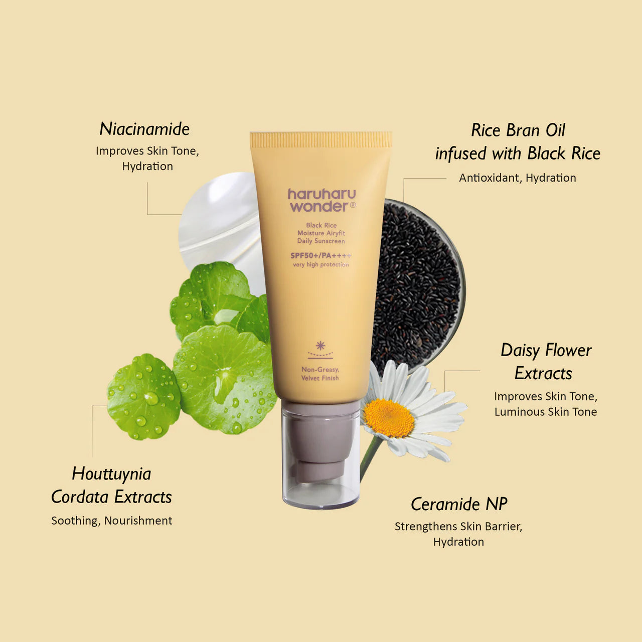 Haruharu Wonder Black Rice Moisture Airyfit Daily Sunscreen SPF50
