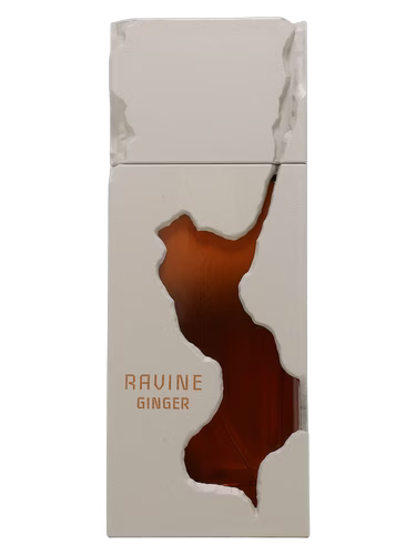 Ravine Ginger Eau De Parfum Unisex 100 Ml - French Avenue